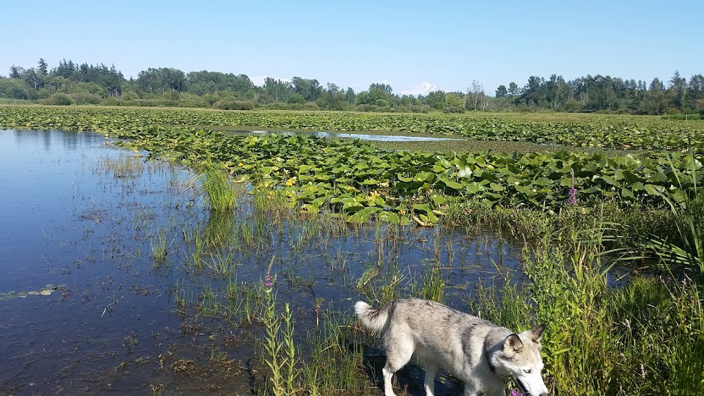 Lake Terrell State Game Refuge | Ferndale, WA 98248, USA | Phone: (360) 384-4723