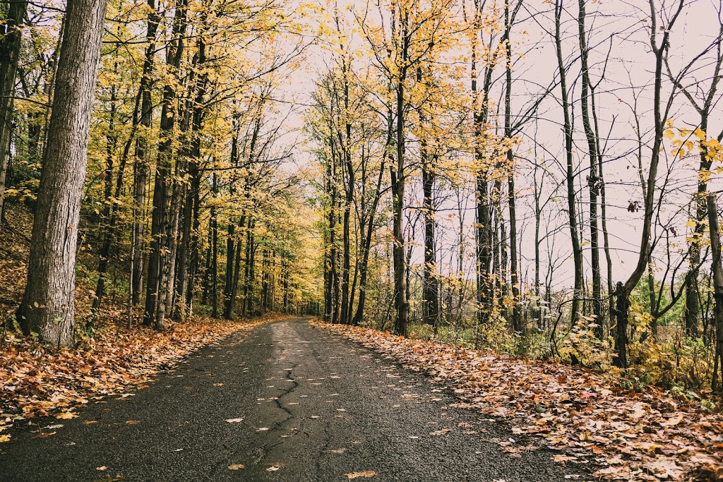 Short Hills Provincial Park | Pelham Rd, Thorold, ON, Canada | Phone: (905) 774-6642