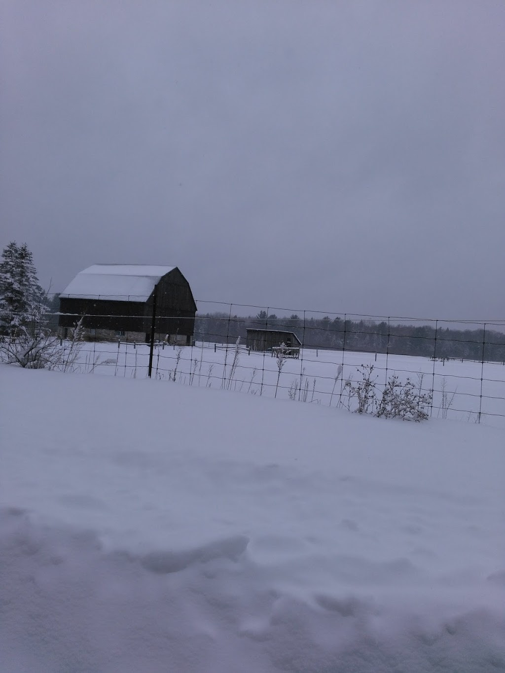 Allens Estate | 388 County Rd 41, Kirkfield, ON K0M 2B0, Canada | Phone: (289) 600-1445