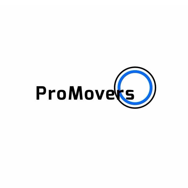 Pro Movers Miami | 475 Brickell Ave, Miami, FL 33131 | Phone: (307) 707-7007