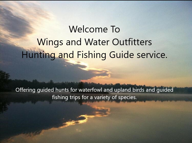 WINGS AND WATER OUTFITTERS | 105 Lumber Rd, Victoria Harbour, ON L0K 2A0, Canada | Phone: (705) 770-4146