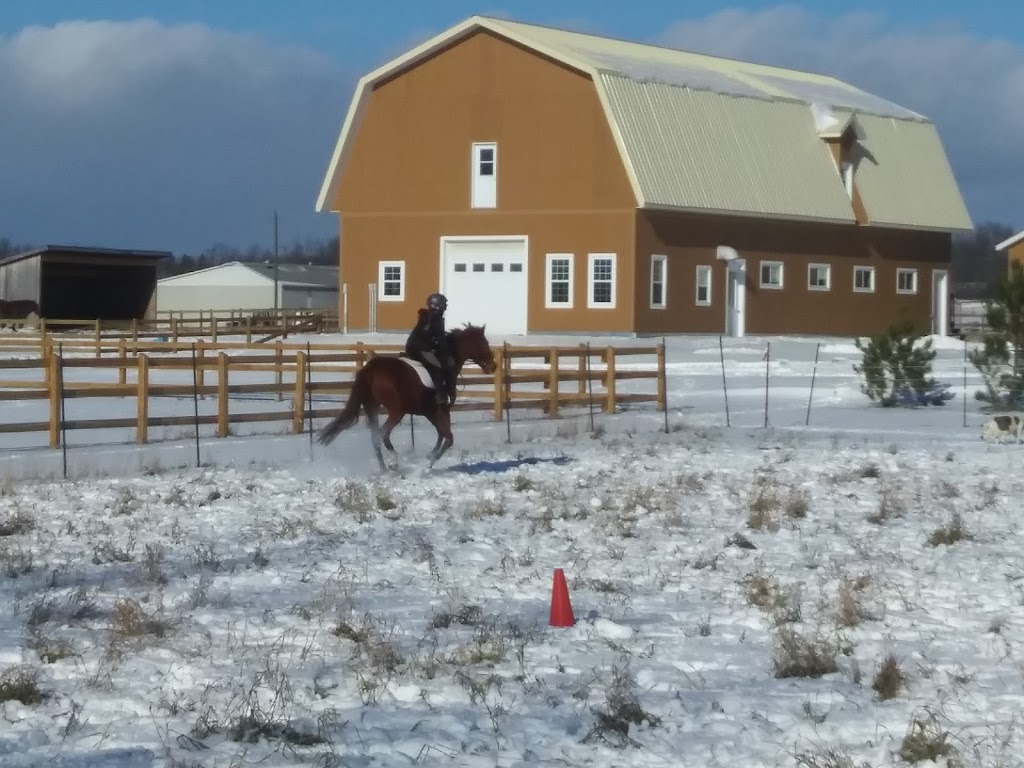 Ferme Willowbrook Farm (École déquitation classique) | 9125 Rue St Vincent, Mirabel, QC J7N 2V5, Canada | Phone: (514) 606-3327