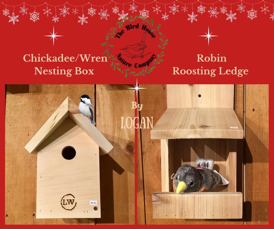 Bird House Nature Co | 108 Mississaga St E, Orillia, ON L3V 1V7, Canada | Phone: (705) 329-3939