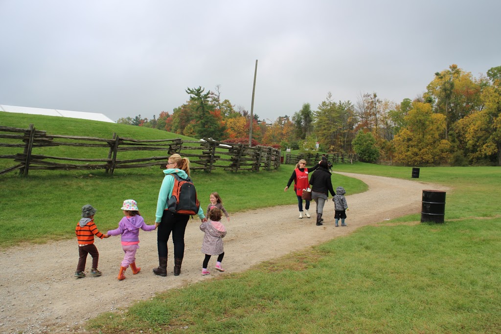 Learning Ladder Childcare Center | 2015 Kingsridge Dr #1, Oakville, ON L6M 4V7, Canada | Phone: (905) 847-9911