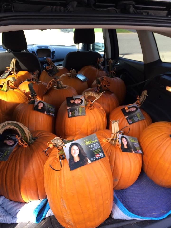 Nicole Rosenfeldt Real Estate Sales Representative - HousesbyNic | 5510 Manotick Main St, Manotick, ON K4M 1A7, Canada | Phone: (613) 612-4663