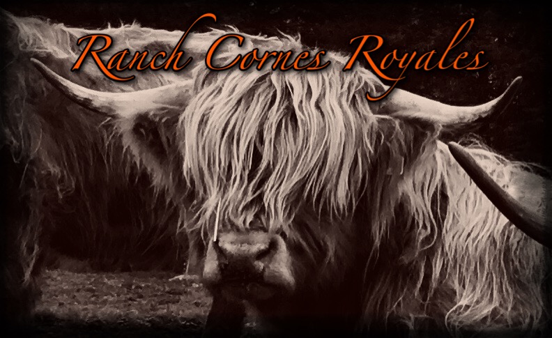 Ranch Cornes Royales | 549 QC-108, Bury, QC J0B 1J0, Canada | Phone: (819) 578-4627
