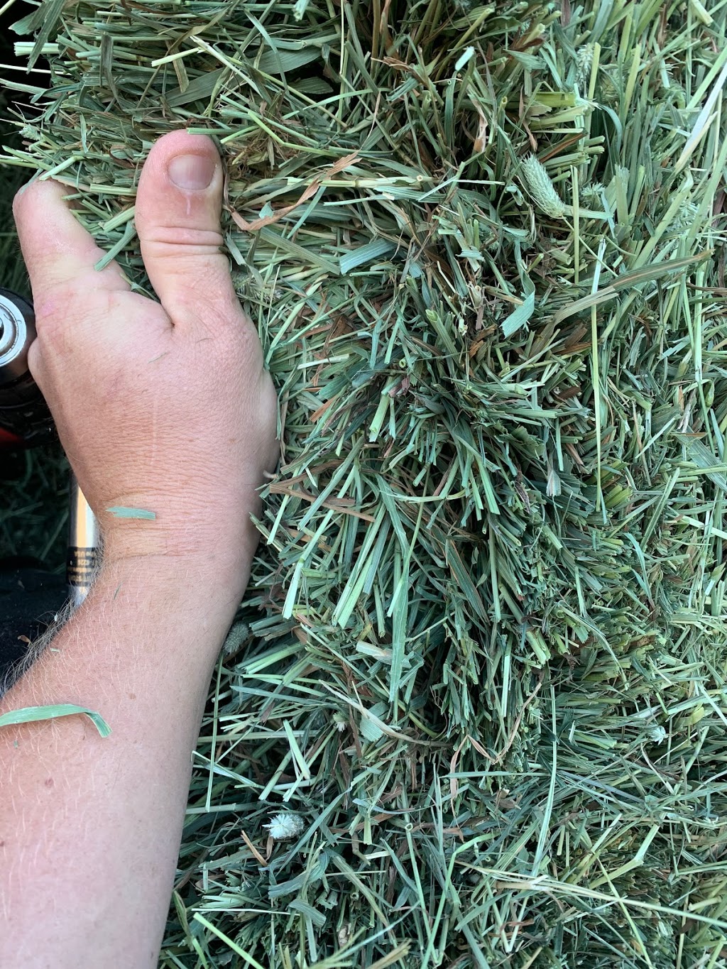 TNT Hay Sales | 40303 No 4 Rd, Abbotsford, BC V3G 2S2, Canada | Phone: (888) 802-3269