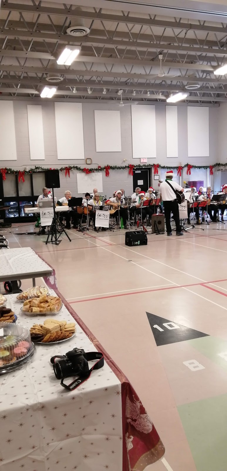 Sir John Colborne Recreation Centre for Seniors | 1565 Old Lakeshore Rd, Oakville, ON L6L 6N1, Canada | Phone: (905) 815-5960