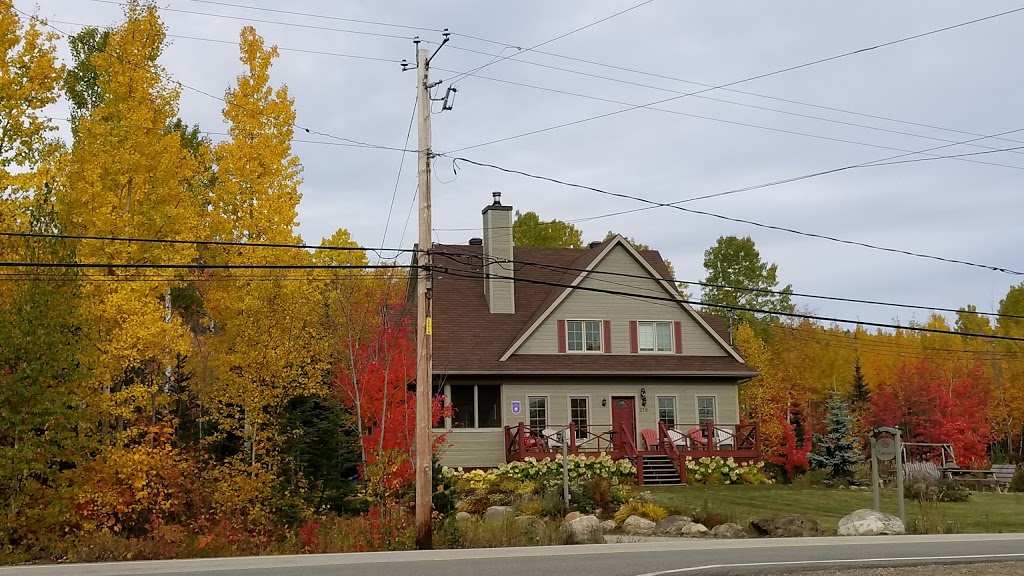 Chalet LExpérience | 276 Chemin de la Martine, Petite-Rivière-Saint-François, QC G0A 2L0, Canada | Phone: (819) 373-2126