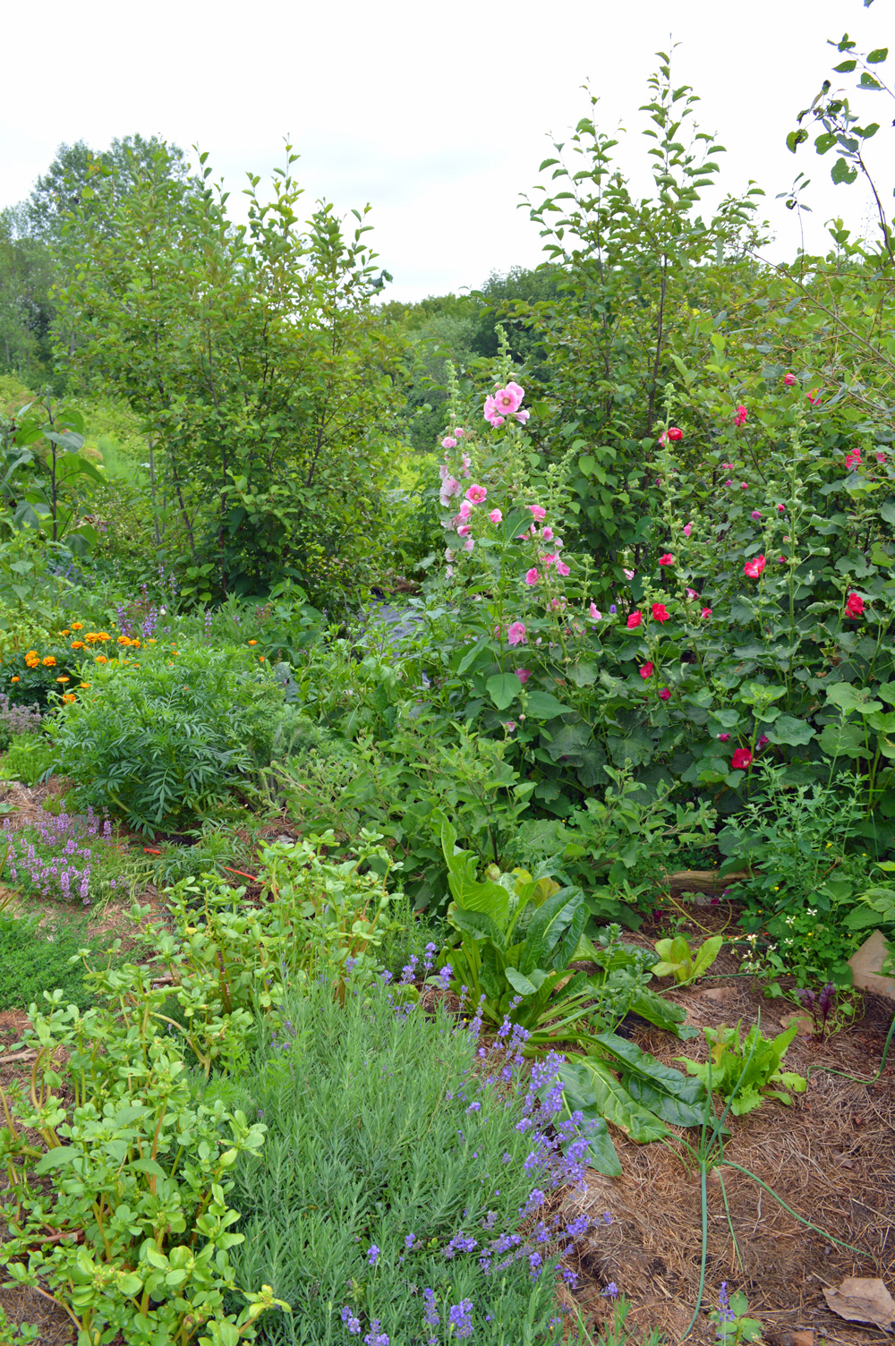 Living Landscapes | 2514 Harmony Rd, Corbyville, ON K0K 1V0, Canada | Phone: (705) 313-4769