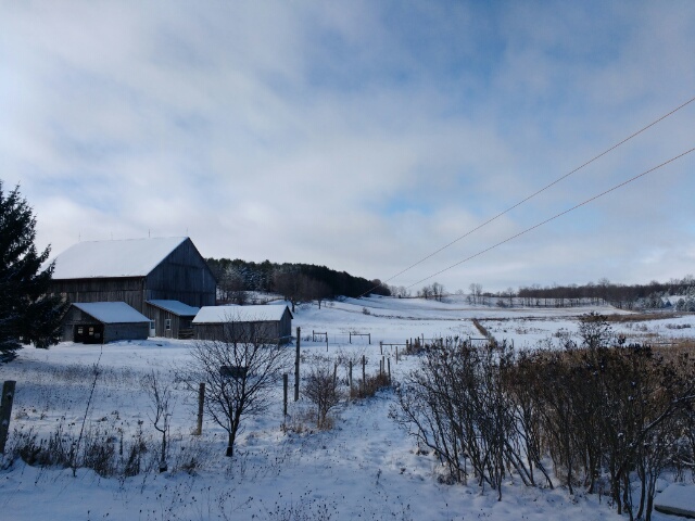 All Sorts Acre Farm, Home Of Happy Sheep Ice Cream | 1C0, ON-6, Ayton, ON N0G 1C0, Canada | Phone: (226) 203-2273
