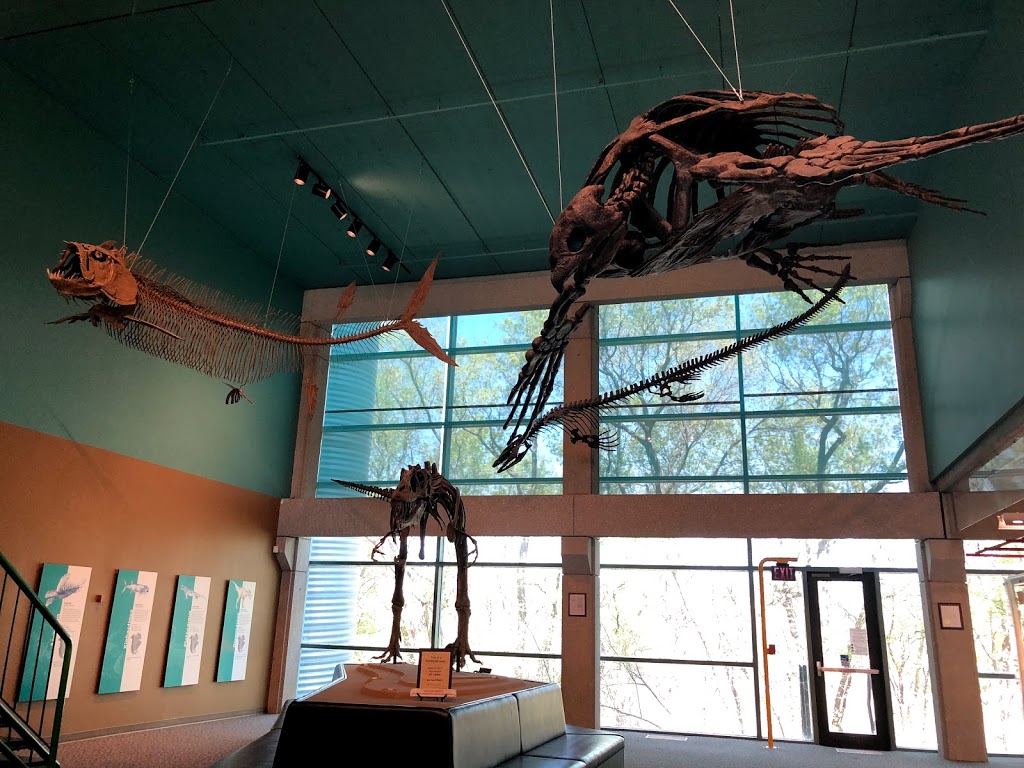 Robert B. Ferguson Museum of Mineralogy | 125 Dysart Rd, Winnipeg, MB R3T 2M7, Canada | Phone: (204) 474-9371
