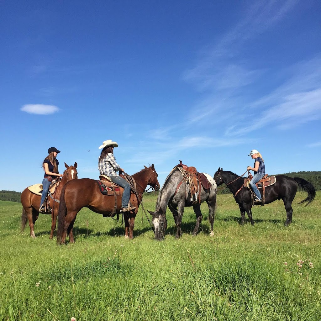 Griffin Valley Ranch | 273019 BEAUPRE CREEK ROAD, Cochrane, AB T4C 1A9, Canada | Phone: (403) 932-7433