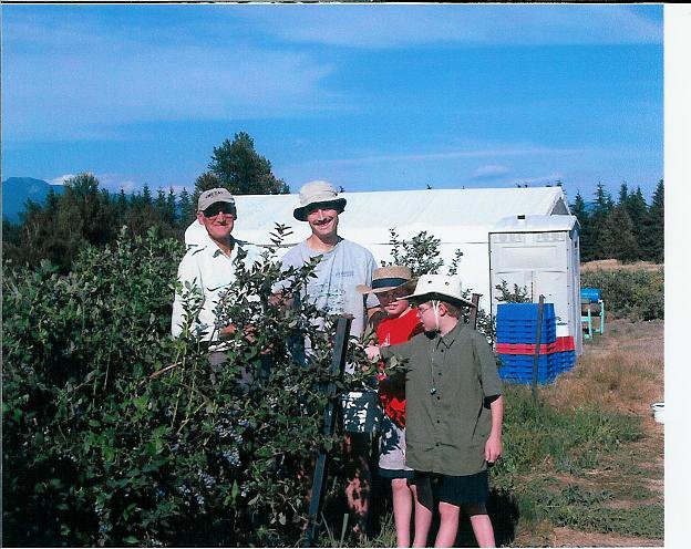 Middelveen Blueberry Farm | 13472 Harris Rd, Pitt Meadows, BC V3Y 2T3, Canada | Phone: (604) 459-8764