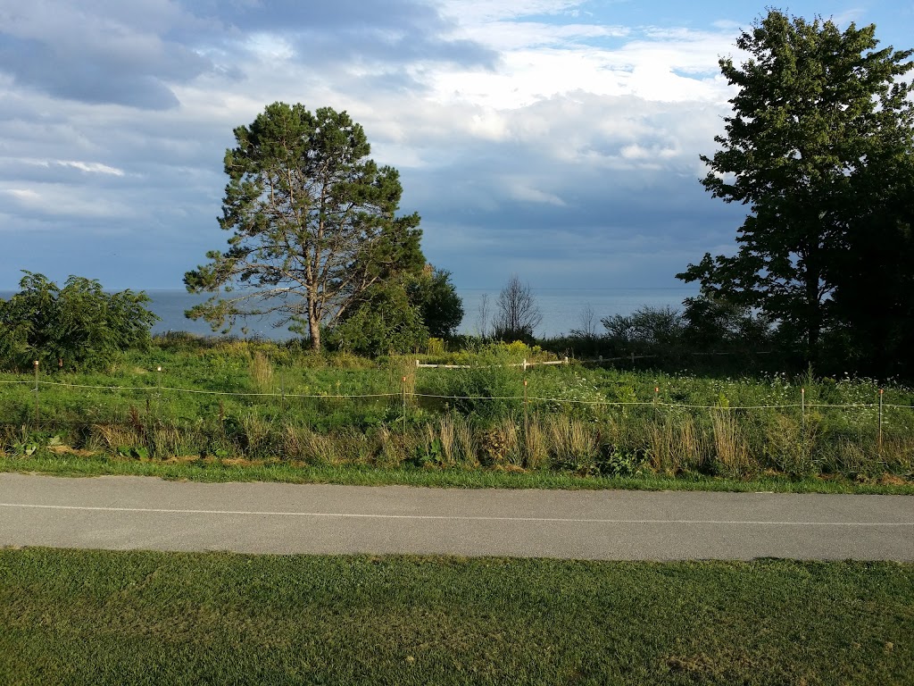 Petticoat Creek Conservation Area | 1100 Whites Rd S, Pickering, ON L1V 6K7, Canada | Phone: (416) 661-6600