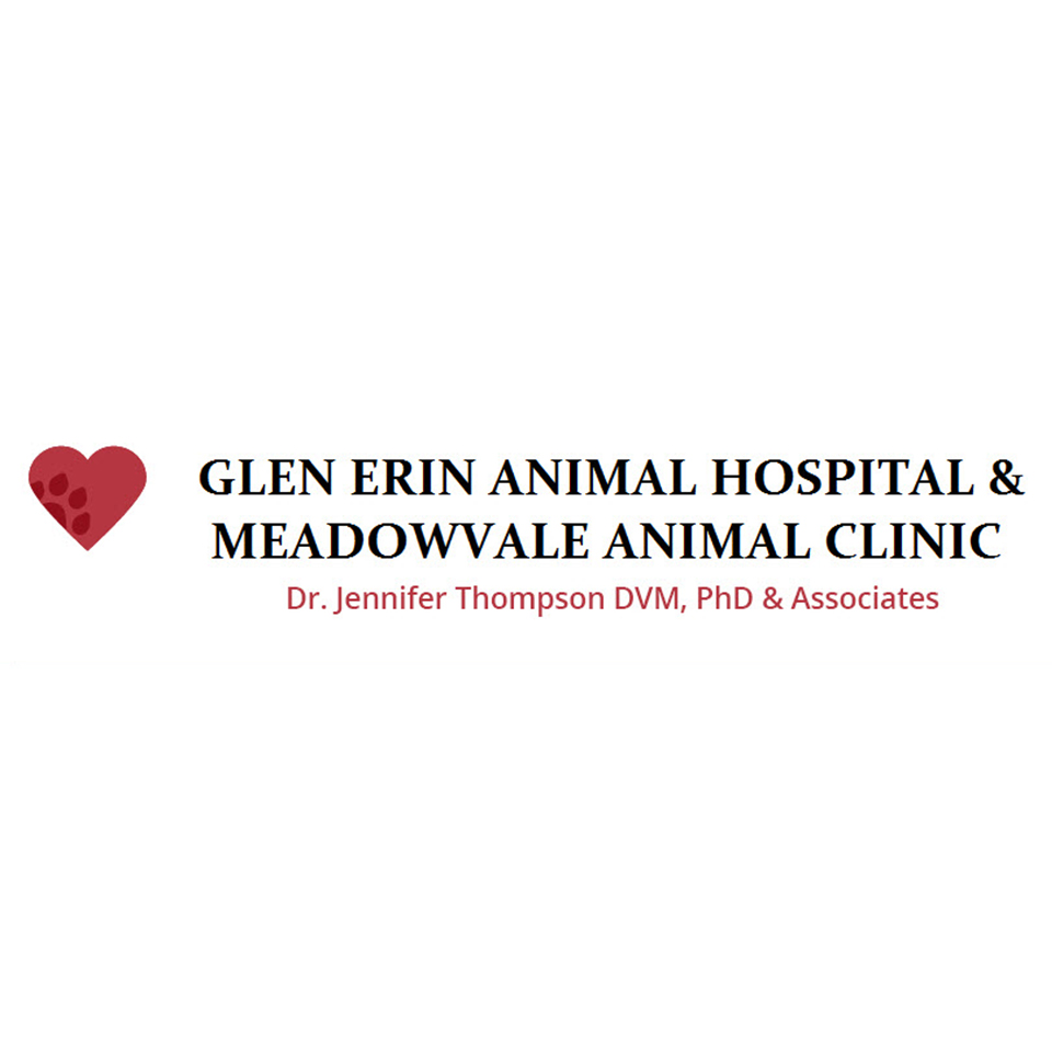 Meadowvale Animal Clinic | 6040 Glen Erin Dr, Mississauga, ON L5N 3M4, Canada | Phone: (905) 826-5062