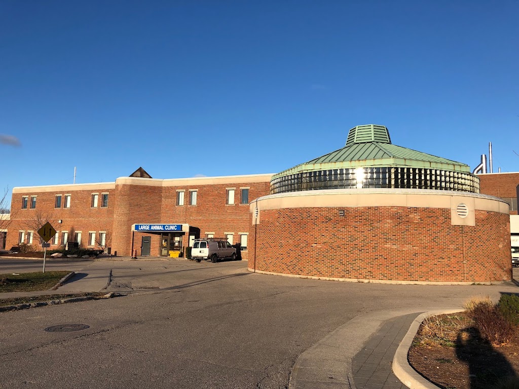 OVC Large animal clinic | OVC, 28 College Ave W, Guelph, ON N1G 2W1, Canada | Phone: (519) 823-8840