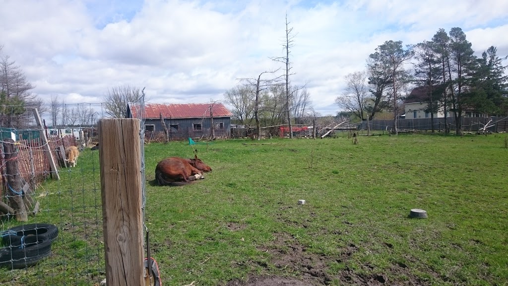 Constance Creek Wildlife Refuge | 2494 Dunrobin Rd, Dunrobin, ON K0A 1T0, Canada | Phone: (613) 222-4719