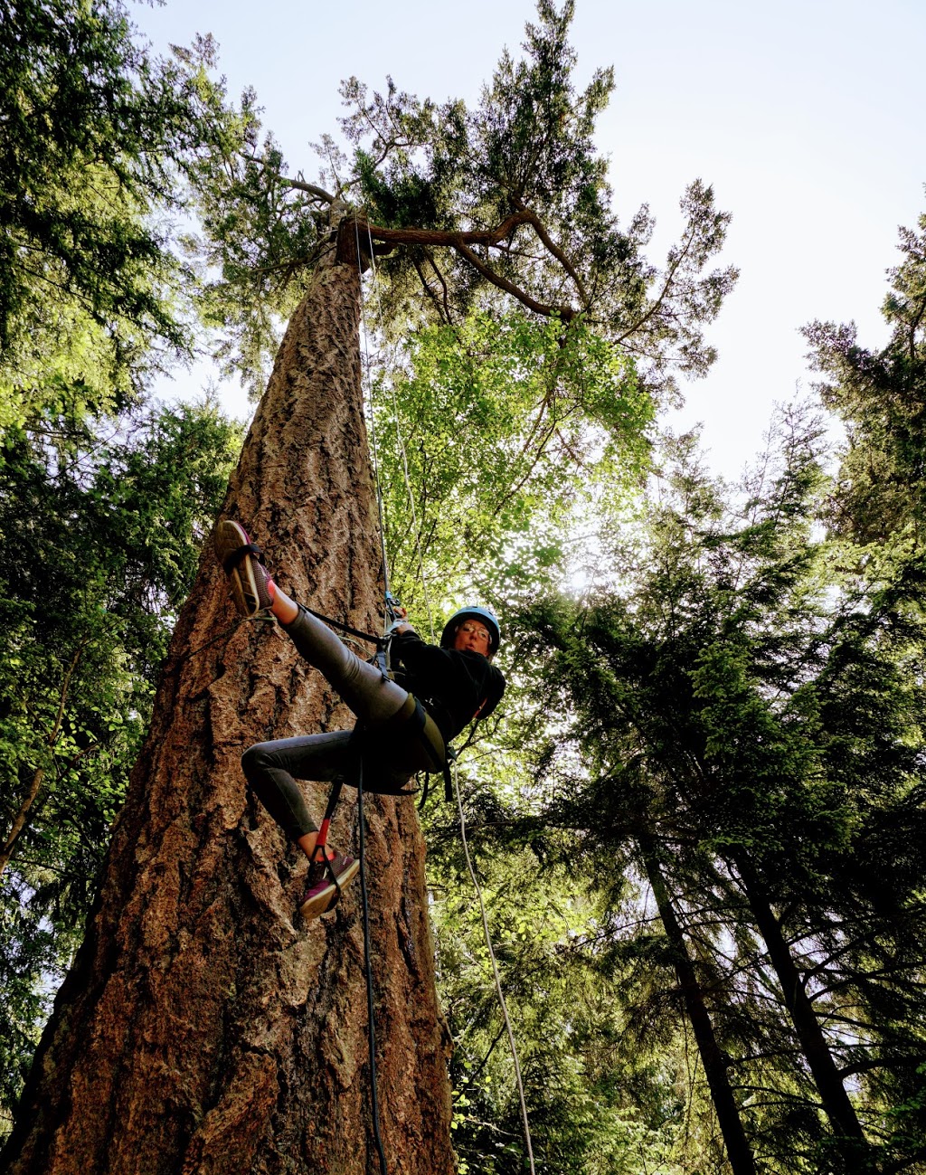 AdventureTerra LLC | 41020 WA-20, Oak Harbor, WA 98277, USA | Phone: (206) 914-8613
