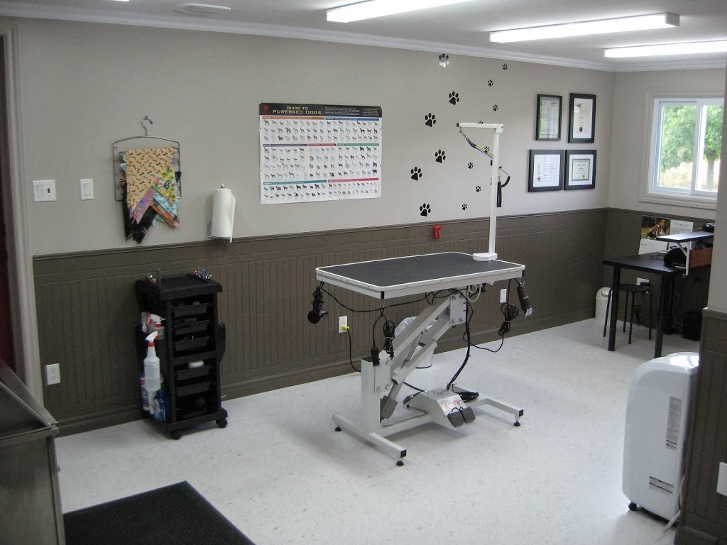 Proud Canines | 1146 Valens Rd, Cambridge, ON N1R 5S2, Canada | Phone: (905) 308-5740
