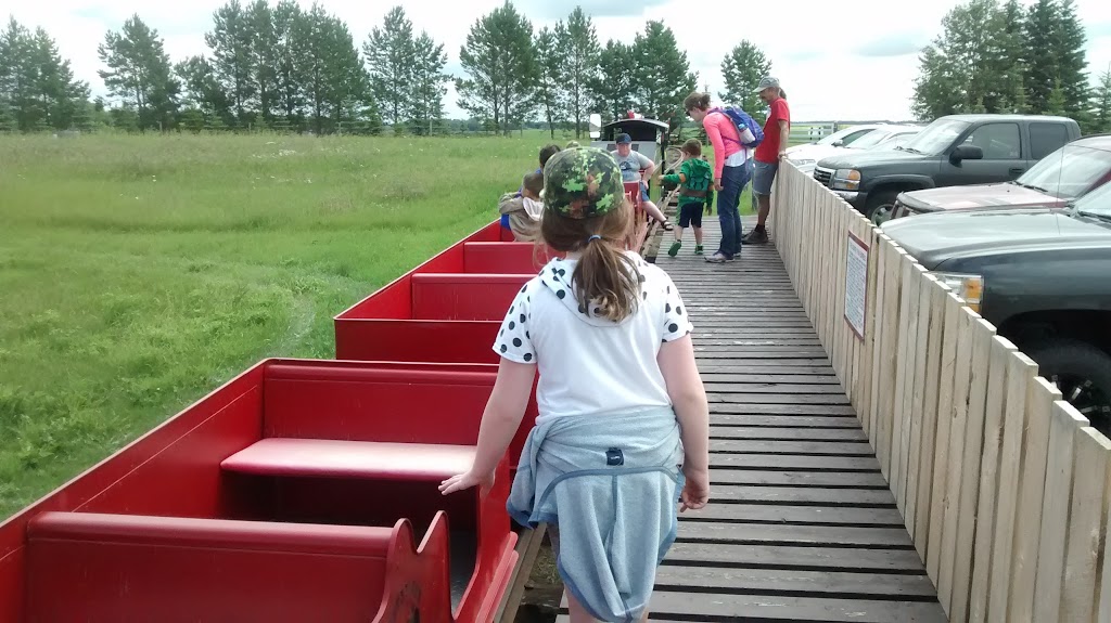 Country Fun | Prince Albert No. 461, SK S0J 3H0, Canada | Phone: (306) 763-3439