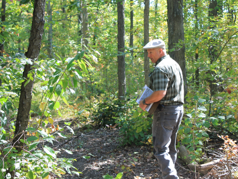 Trees Unlimited | 13130 McKenney Rd, Niagara Falls, ON L3B 6N7, Canada | Phone: (905) 384-0789