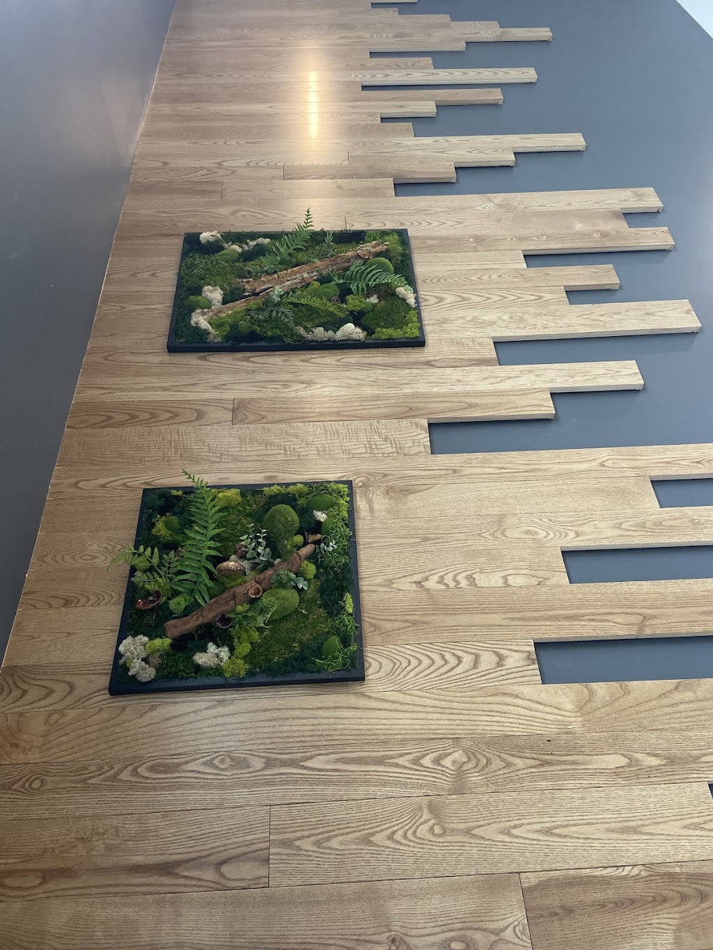 Hoya Botanica | Rue des Saules, Saint-Liboire, QC J0H 1R0, Canada | Phone: (450) 230-3718
