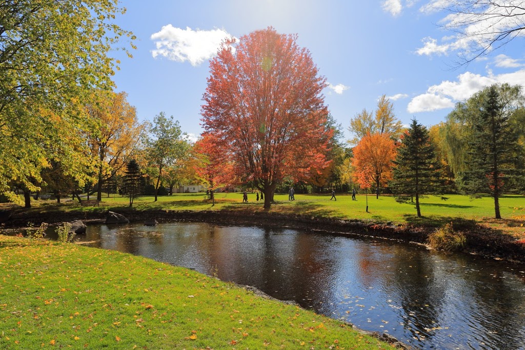 Code Park | 16 A Wilson St E, Perth, ON K7H 1L2, Canada