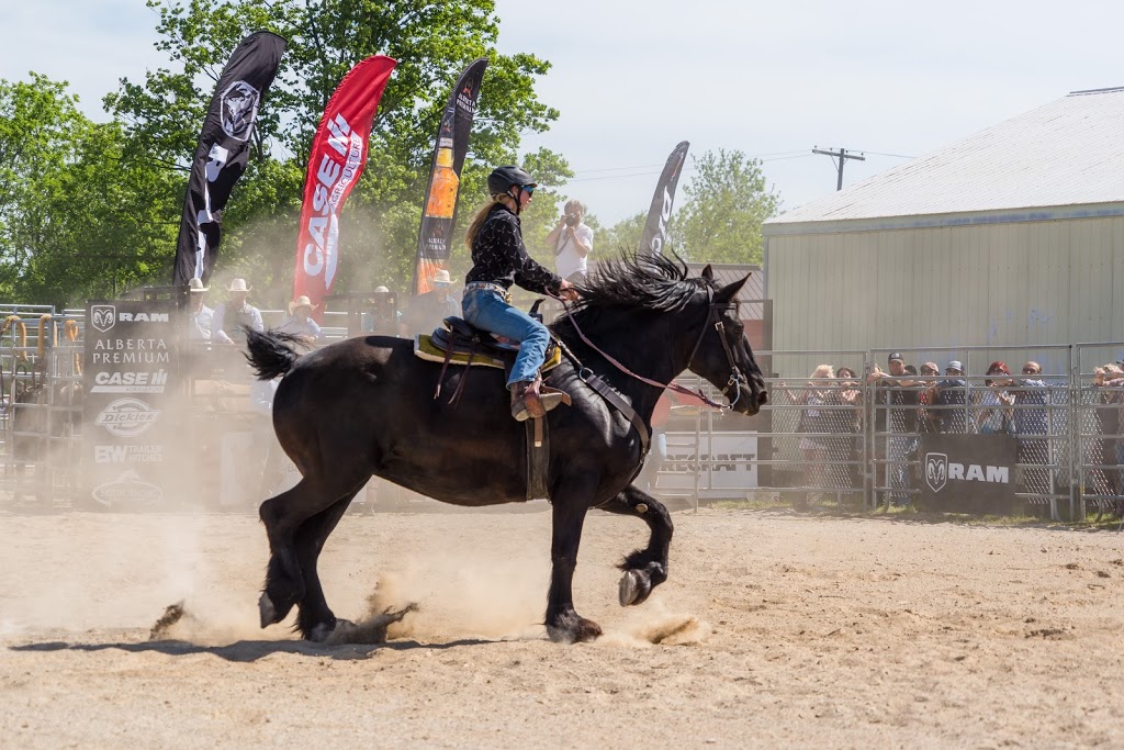 Burford Fairgrounds | Park Ave, Brant, ON N0E, Canada | Phone: (519) 449-5694