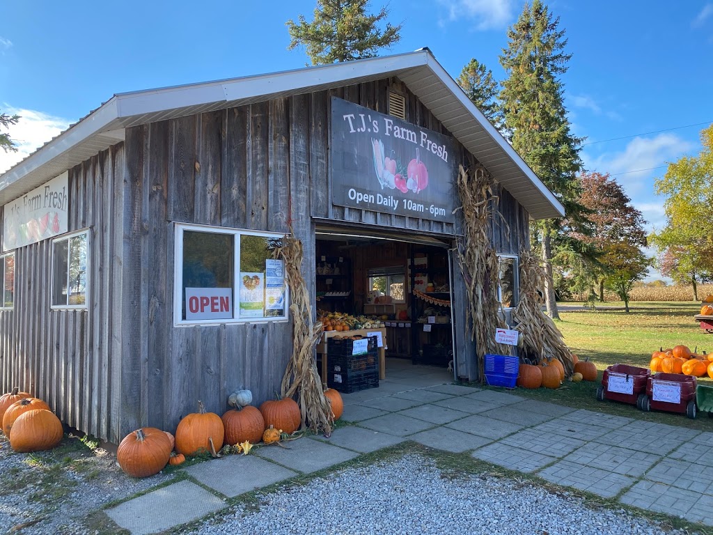 TJs Farm Fresh | 3010 Kossuth Rd, Cambridge, ON N3H 4R7, Canada | Phone: (519) 650-1007