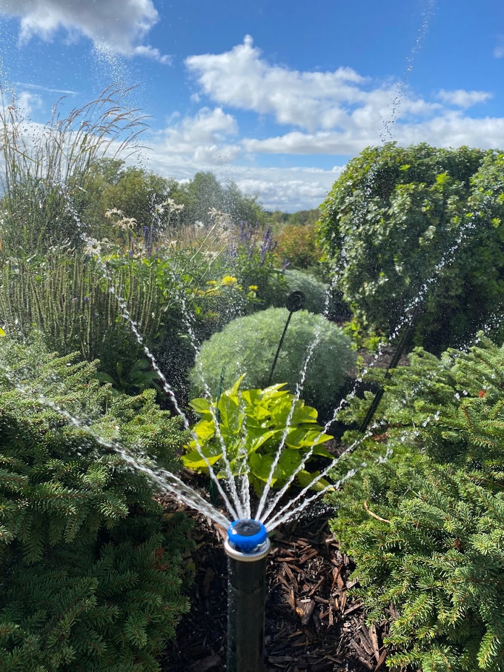 Sunshower Sprinklers | 4006 Highway #3, Oak Bluff, MB R0G 1N0, Canada | Phone: (204) 895-2331