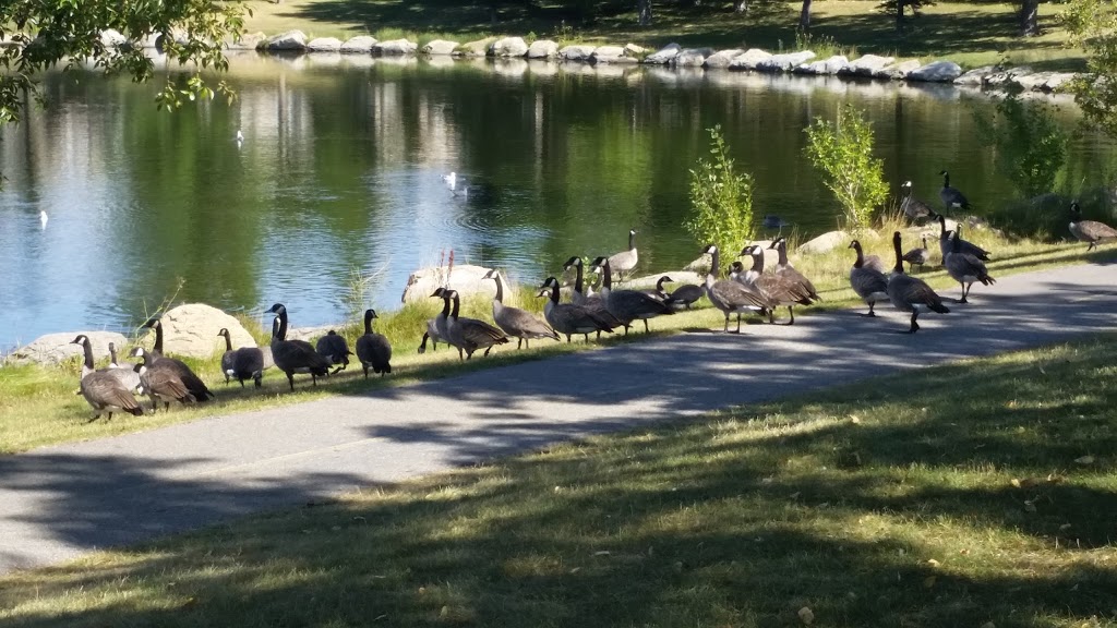 Harvest Hills Park | Harvest Hills, Calgary, AB T3K, Canada