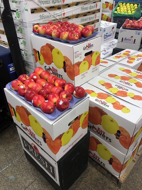Bay Growers Inc | 828114 Grey Road 40, Clarksburg, ON N0H 1J0, Canada | Phone: (519) 599-7568