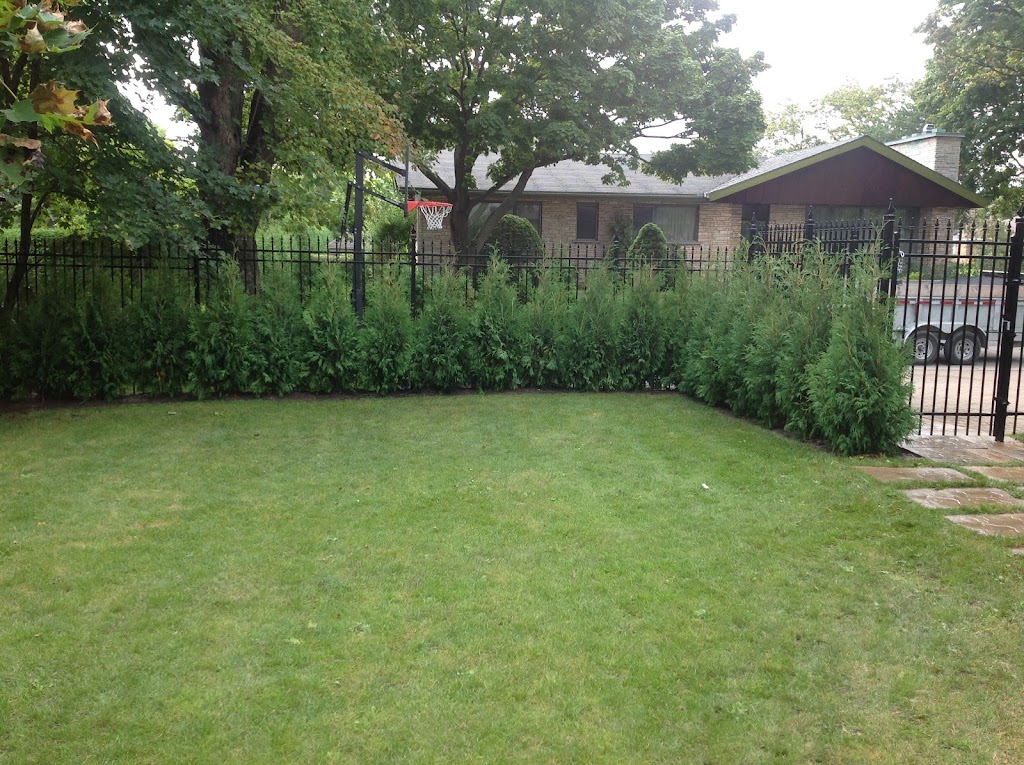 Arbre & Paysage | 1230 QC-133, Sabrevois, QC J0J 2G0, Canada | Phone: (514) 963-9073