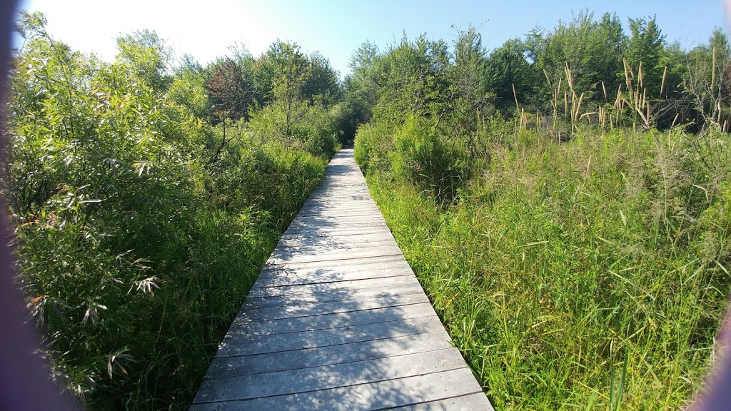 Dewberry Trail - Dolman Ridge Rd, Orléans, ON K1C 7G4, Canada