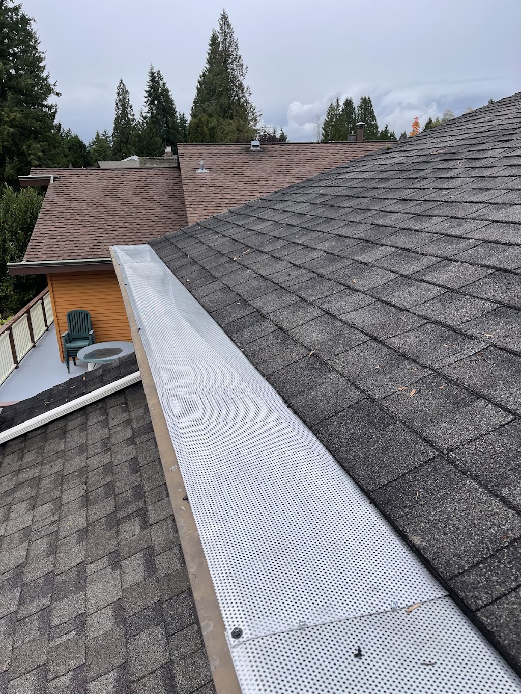 Golden Phoenix Gutter | 12496 Davenport Dr, Maple Ridge, BC V2X 8X2, Canada | Phone: (778) 957-9806
