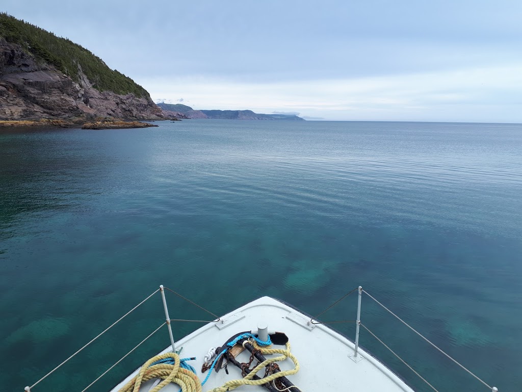 Dee Jay Charters | 140 Harbour Dr, St. Johns, NL A1C 6N6, Canada | Phone: (709) 753-8687