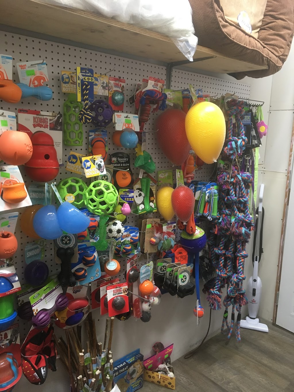 Pets First Pampered Pets | 6140 Darcy Rd, Grand Forks, BC V0H 1H4, Canada | Phone: (250) 442-5816