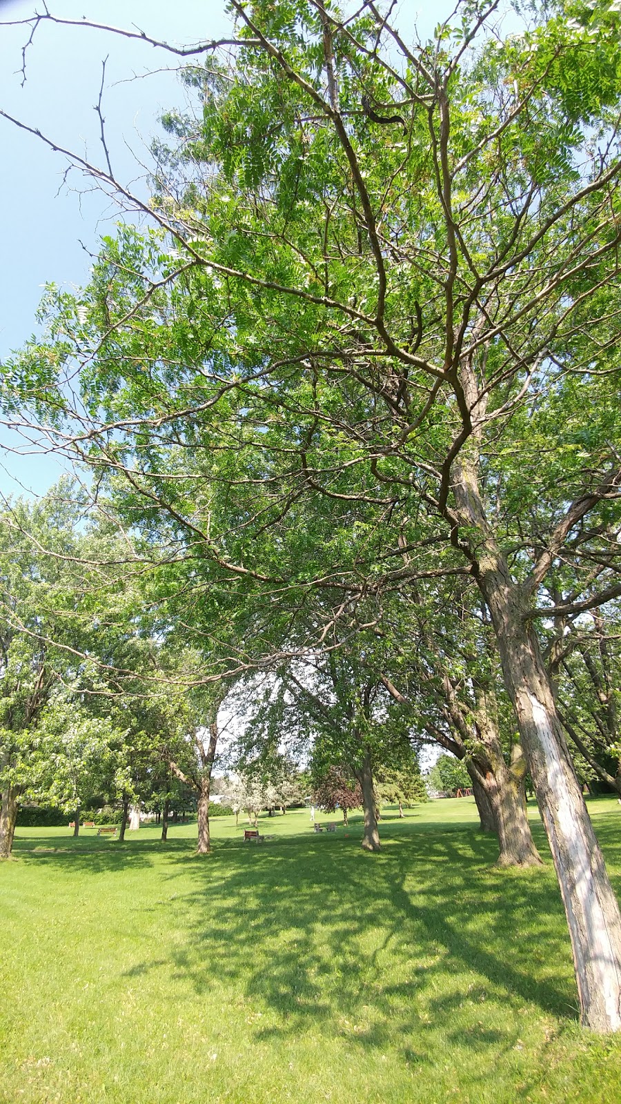 Parc Kirwan | Chemin Kildare, Côte Saint-Luc, QC H4W, Canada | Phone: (514) 872-0311