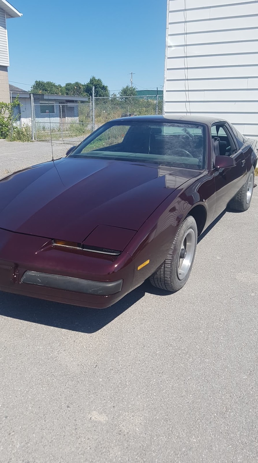 Mytime Autobody | 1335-1313 McAdoos Ln, Glenburnie, ON K0H 1S0, Canada