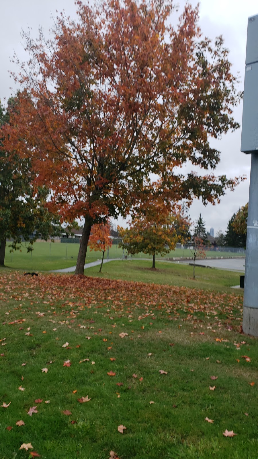 Panthers field hockey club | 12601 64 Ave, Surrey, BC V3W 1X1, Canada | Phone: (604) 505-3600