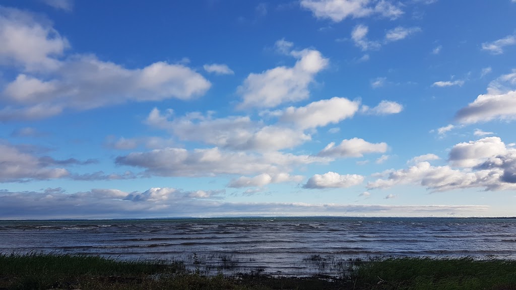 Blue Water | 9102 Beachwood Rd, Wasaga Beach, ON L9Z 2Y5, Canada | Phone: (888) 422-0448