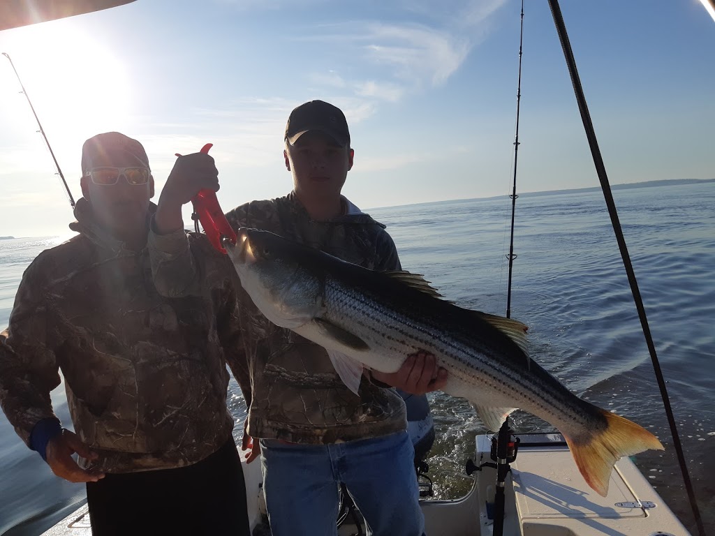 Bass Barn Fishing Charters & Tours | 17 Ohearns Ln, Lower Five Islands, NS B0M 1N0, Canada | Phone: (902) 669-0872