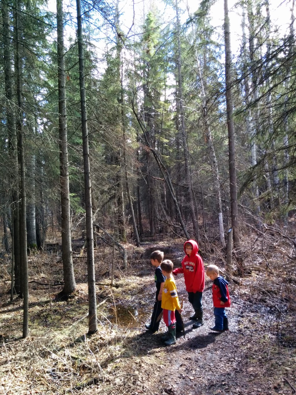 Wagner Natural Area | 30531 118 Ave., Acheson, AB T7X 6M5, Canada
