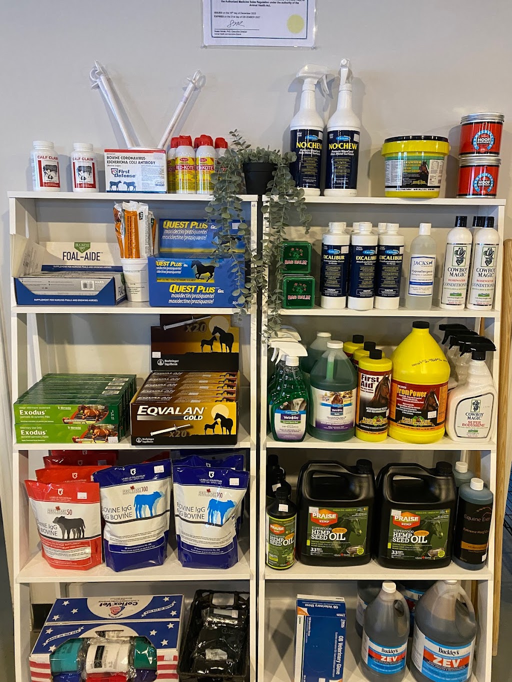 Wyatts Equine Tack and Feed | 3902 51 Ave, Camrose, AB T4V 2N3, Canada | Phone: (780) 673-8865