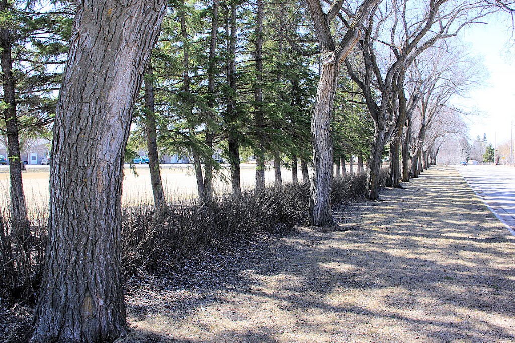 Hayes Haven | 920 McKay St, Indian Head, SK S0G 2K0, Canada | Phone: (306) 695-2049
