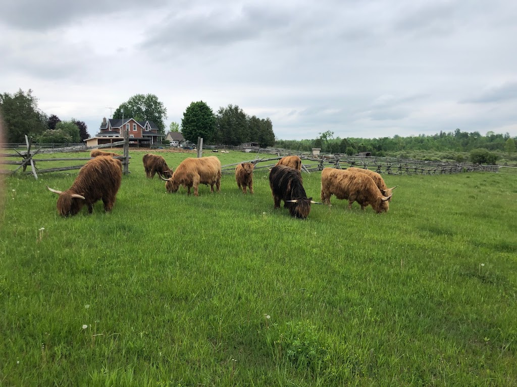 Red Farm Lane | 2833 ON-28, Douro-Dummer, ON K0L 2H0, Canada | Phone: (705) 930-5078