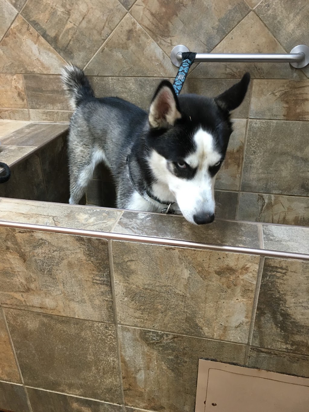 Pet Valu | 2377 Highway #2, Bowmanville, ON L1C 5A3, Canada | Phone: (905) 623-6613