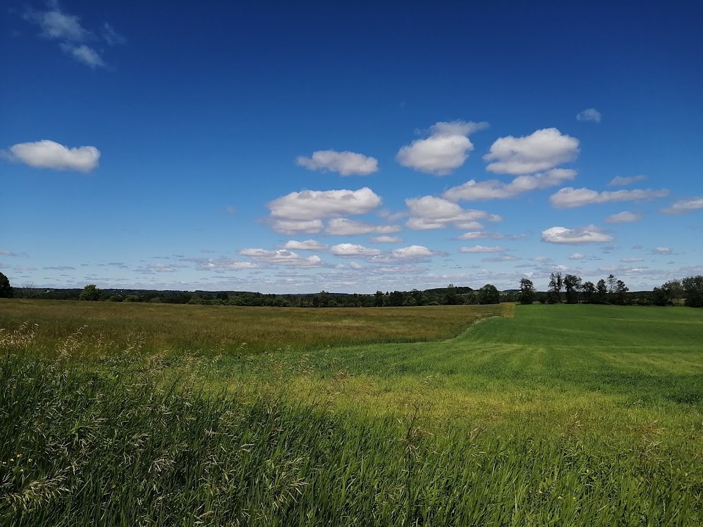 Shiloh Hill Farm | 6520 Shiloh Rd, Newtonville, ON L0A 1J0, Canada | Phone: (905) 925-4558