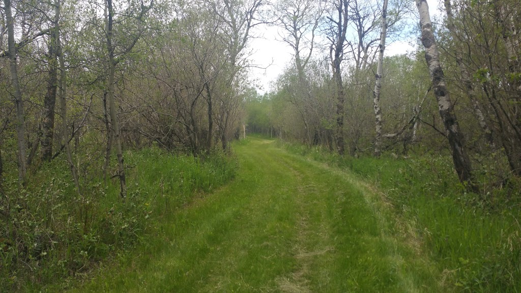 White Butte Trails | Pilot Butte, SK S0G 3Z0, Canada